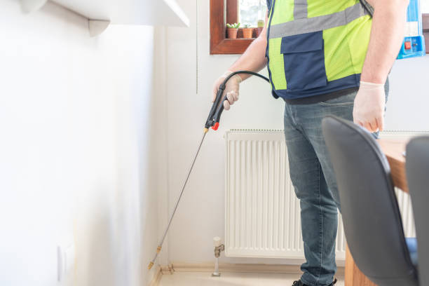 Best Ant Control Services  in Plano, KY