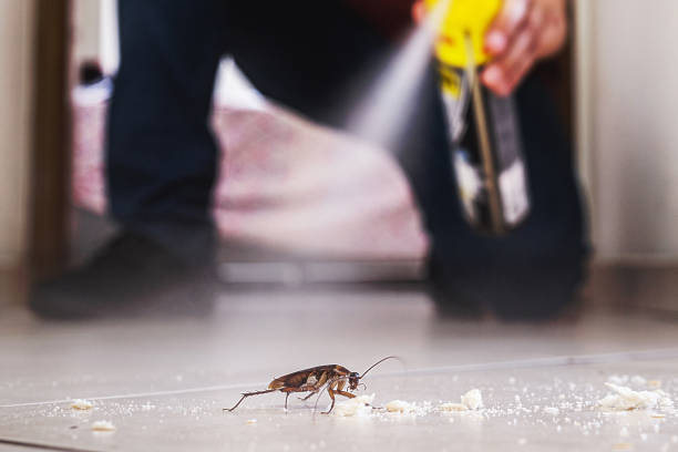 Best Emergency Pest Control  in Plano, KY